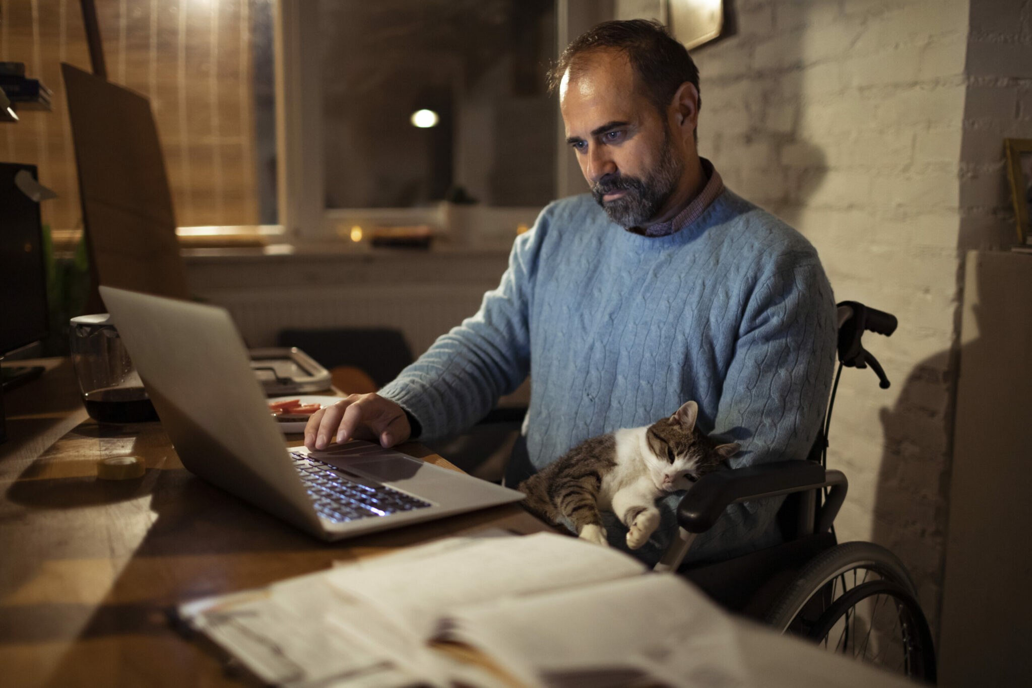 Close up of a man sitting in a wheelchair at home with his cat working on the laptop